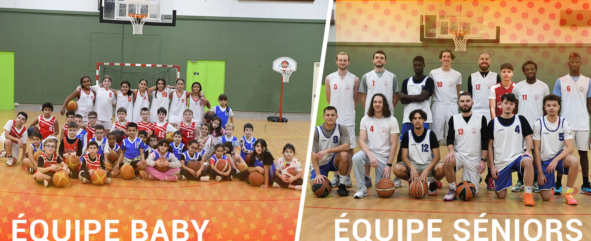 visuel carrousel - Baby - seniors